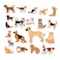 Spark & Wow Wooden Magnets, Cats & Dogs, 20-Piece Set SW400024 - alternate 2