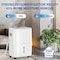 Edendirect 35 pt 250 sq ft Quiet Dehumidifier White with Bucket for Home Basement Auto Defrost 24H Timer ZR-D025B-35PT3 - alternate 2