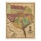 Homeroots 16" X 20" Texas And Surroundings C1837 Vintage Map Poster Wall Art 391970 - alternate 1