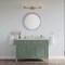 James Martin Vanities Chicago 48 in. Single Vanity, Smokey Celadon, w/ 3 CM Eternal Jasmine Pearl Silestone Top 503-V48-SC-3EJP - alternate 2