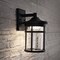 Jonathan Y Campo 7.75" Outdoor Wall Lantern Crackled Glass/Metal Integrated LED Wall Sconce, Black JYL7449A - alternate 2