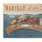 Homeroots Sea Harvest White Framed Print Kitchen Wall Art 404727 - alternate 2