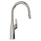Blanco Rivana Pull-Down 1.5 GPM, Satin Platinum 443249 - alternate 1