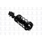 Fcs Struts Suspension Strut And Coil Spring Assembly 2331741L - alternate 2