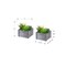 Monarch Specialties Artificial Plant, 8-in. Tall, Succulent, Table, Grey Wooden Pots, Contemporary, Modern, 2PK I 9370 - alternate 2