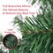 Elf Stor Artificial Christmas Tree 6ft Unlit Spruce Xmas Tree with 1000 Realistic Branch Tips and Stand 50-300-6BAG - alternate 2
