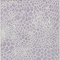 Homeroots 9' X 12' Lilac And Ivory Geometric Washable Indoor Outdoor Area Rug 595089 - alternate 3