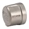 Proline Series Stainless Steel 304 3/8-in FIP Cap SF-769 - alternate 1
