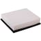 Premium Guard Engine Air Filter,  PA7039 - alternate 2