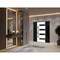 Vdomdoors Front Exterior Prehung Steel Door Ronex0131 Grey 2 Sidelight Exterior Windows Sidelites Entry Metal RONEX0131EXD-GRE-W14+36+14 X H80-LH-I - alternate 2