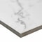 Msi Trinova Celestio Sample  Matte Porcelain Floor And Wall Tile ZOR-PT-0815-SAM - alternate 2