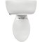 Briggs AltimaMAX White 19-1/8'' Extra Tall Elongated 1.28 GPF Toilet Express 7089 130 - alternate 2