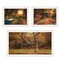 Homeroots Set Of Three Tranquil Spaces 1 White Framed Print Wall Art, 3PK 406108 - alternate 1