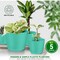 Lifemaster Planter Pots with Drainage Holes, Lightweight, Durable, Space-Saving, Aqua, 5PK LMFLOPAQA55 - alternate 2