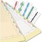 Tabbies MEDICAL CHART INDEX DIVIDER SHEETS, WHITE, 11"H x 8-1/2"W, 400 DIVIDERS 54520 - alternate 2