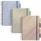 Pukka Pads Haze B5 Project Book, 7in. x 10in., 5-Subject, 3-Color Set 9975(AST)-HZE - alternate 1