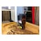 Axiom ALK28 - 2.8W Laser Kit for Iconic Series AX9-ALK28 - alternate 3
