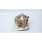 Dresser-Rand VALVE MLR18754AP4G1 - alternate 3