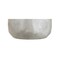 Jonathan Y Lucille 21" Seashell LED Table Lamp, Pearl JYL4007A - alternate 2