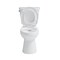 Craft And Main Round Toilet, 1.2, pc, Easley, Guard TL-5800AFH-RW - alternate 2