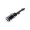 Fcs Struts Suspension Strut And Coil Spring Assembly 1355076L - alternate 2