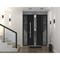 Vdomdoors Steel Door Deux 1755 Black Enamel 2 Sidelight Exterior Windows Stainless Inserts Single Modern Pain DEUX1755EXD-BLK-W14+36+14 x H80-Left-hand Inswing - alternate 1