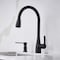 Blanco Atura Pull-Down 1.5 GPM, Matte Black 443027 - alternate 3