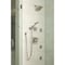Delta Hand Shower, Stainless, Wall 55051-SS - alternate 2