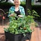 City Pickers 11 in. H X 24 in. W X 20 in. D Resin Garden Bed Charcoal 2340DW - alternate 2