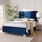 Baxton Studio Emlyn Glam and Luxe Navy Blue Velvet Fabric Queen Size Panel Bed 251-13772-ZORO - alternate 2