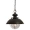 Vaxcel Harwich 1 Light Bronze Coastal Outdoor Barn Dome Pendant Clear Glass OD21506BBZ - alternate 1