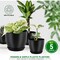 Lifemaster Plant Pots with Multi Drainage Holes, Sturdy Plastic, Stackable, Indoor/Outdoor, Black, 5PK LMFLOPBLK55 - alternate 2