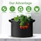 Ipower 7-Gallon Grow Bag Thickened Nonwoven Fabric Pots, Black w/ Green Stitch Sewing, 5PK GLGROWBAG7X5EGRN - alternate 2