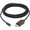 Tripp Lite USB C TO DP CABLE BI-DIRECTIONAL 4K 10FT U444-010-DP-BD - alternate 2