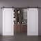 Sartodoors Double Barn Door 36x80 inches White Solid Core Modern Interior ROYAL9811DB-B-EMAL-36 - alternate 1
