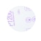 3M 3M Finishing Film Abrasive Disc, 00908, 3 in, P1200, 4PK 260L - alternate 2