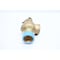Kunkle BRONZE THREADED RELIEF VALVE 968 SCFM 50PSI 2IN NPT 6010HHM01AKM - alternate 3