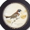 Homeroots Set of Three Black Bird Circle Framed Art, 3PK 516339 - alternate 2