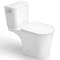 Anzzi Two-Piece Elongated Toilet in White with Soft-Close Lid, 1.6 GPF Flush, (Toilet Only) TL-AZ600 - alternate 1