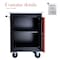 Wrightmaster 22 in. W x 13.6 in. D 2-Drawer Metal Roller Cabinet Tool Chest in Black ZR-245240 - alternate 3