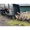 Nan Gorilla Carts 12 Cu. ' Hvy Dty Poly Yard Dump Cart GCG-12 - alternate 1