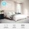 Martha Stewart Britta Queen Upholstered Platform Bed w/Rounded Headboard, Piped Detailing/Cushioned Sdrails, Beige TW-3WDB01B-Q-BG-MS - alternate 3