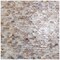 Apollo Tile Concha 11.3 in. x 11.8 in. Polished White, Beige Shell, Mother of Pearl Mosaic Wall Tile 20PK APLSMA88BR01A - alternate 3