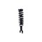 Fcs Struts Suspension Strut And Coil Spring Assembly 2345567 - alternate 1