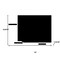 Homeroots 24" White Wood Freestanding Bathroom Vanity With White Sink And Two Drawers 627439 - alternate 2