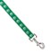 Casual Canine Two-Tone Pawprint Dog Lead, 6 ft L, 1 in W, Nylon Line, Green, Fastening Method: Swivel Clip ZA8861 66 43 - alternate 2