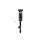 Fcs Struts Suspension Strut And Coil Spring Assembly 3335850 - alternate 3