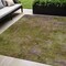 Homeroots 5' X 8' Green Abstract Washable Indoor Outdoor Area Rug 608772 - alternate 1