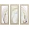 Homeroots Set Of Three Oyster Shell White Framed Print Wall Art, 3PK 416457 - alternate 1