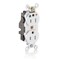 Leviton Straight Blade Receptacle, 5-15R, 15 A, 125V AC, Isolated Ground MT820-IGW - alternate 1